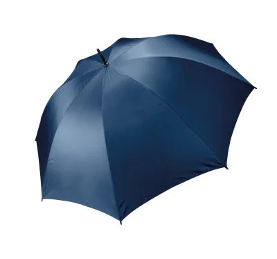 Parapluie tempête