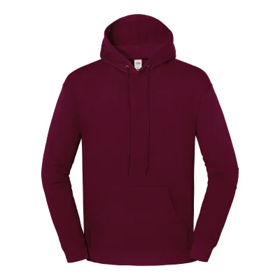 Sweat-shirt à capuche Iconic 250
