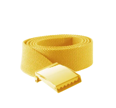 Ceinture en polyester