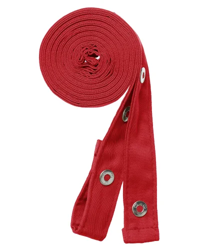 Set d'attache pour tablier Potenza x Classic (42141-01)