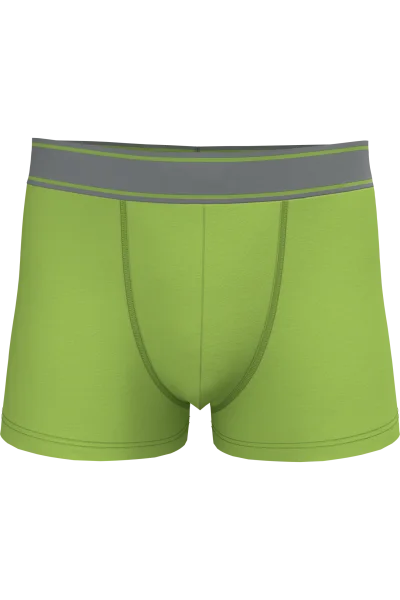 Boxer