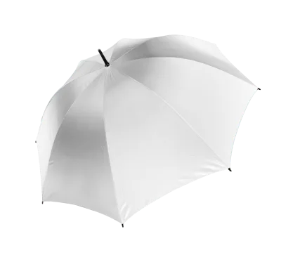 Parapluie tempête
