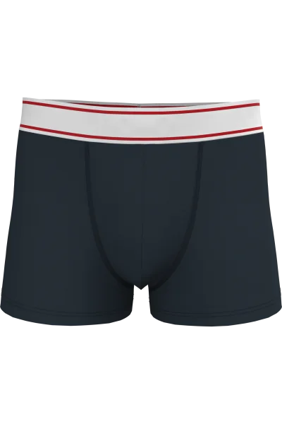 Boxer