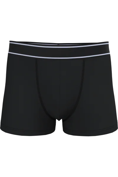 Boxer