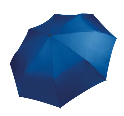 Mini parapluie pliable