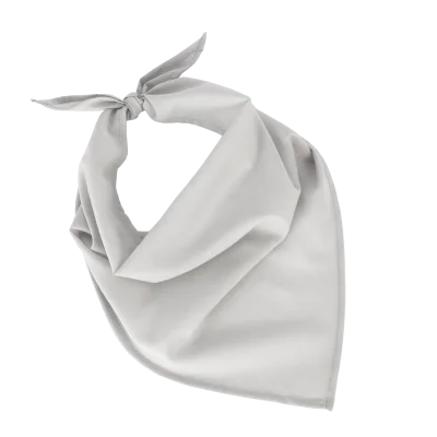 Fiesta - Bandana