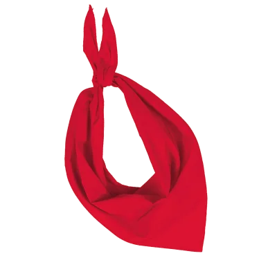 Fiesta - Bandana