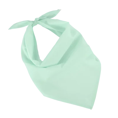 Fiesta - Bandana