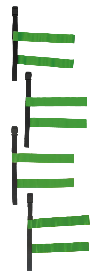 Tag belt
