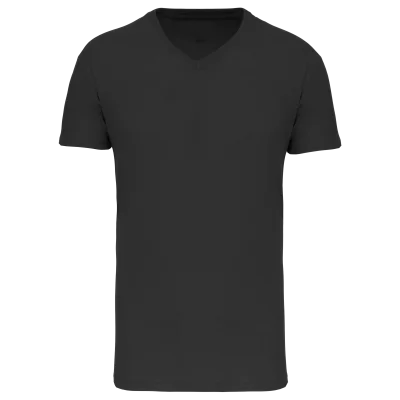 T-shirt Bio150 IC col V homme