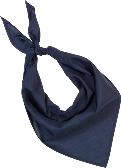 Fiesta - Bandana