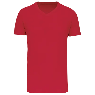 T-shirt Bio150 IC col V homme