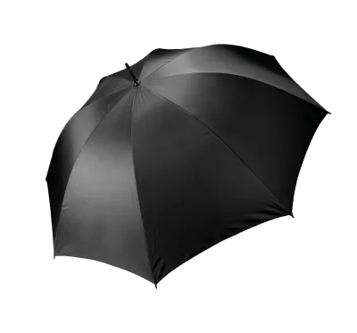 Parapluie tempête