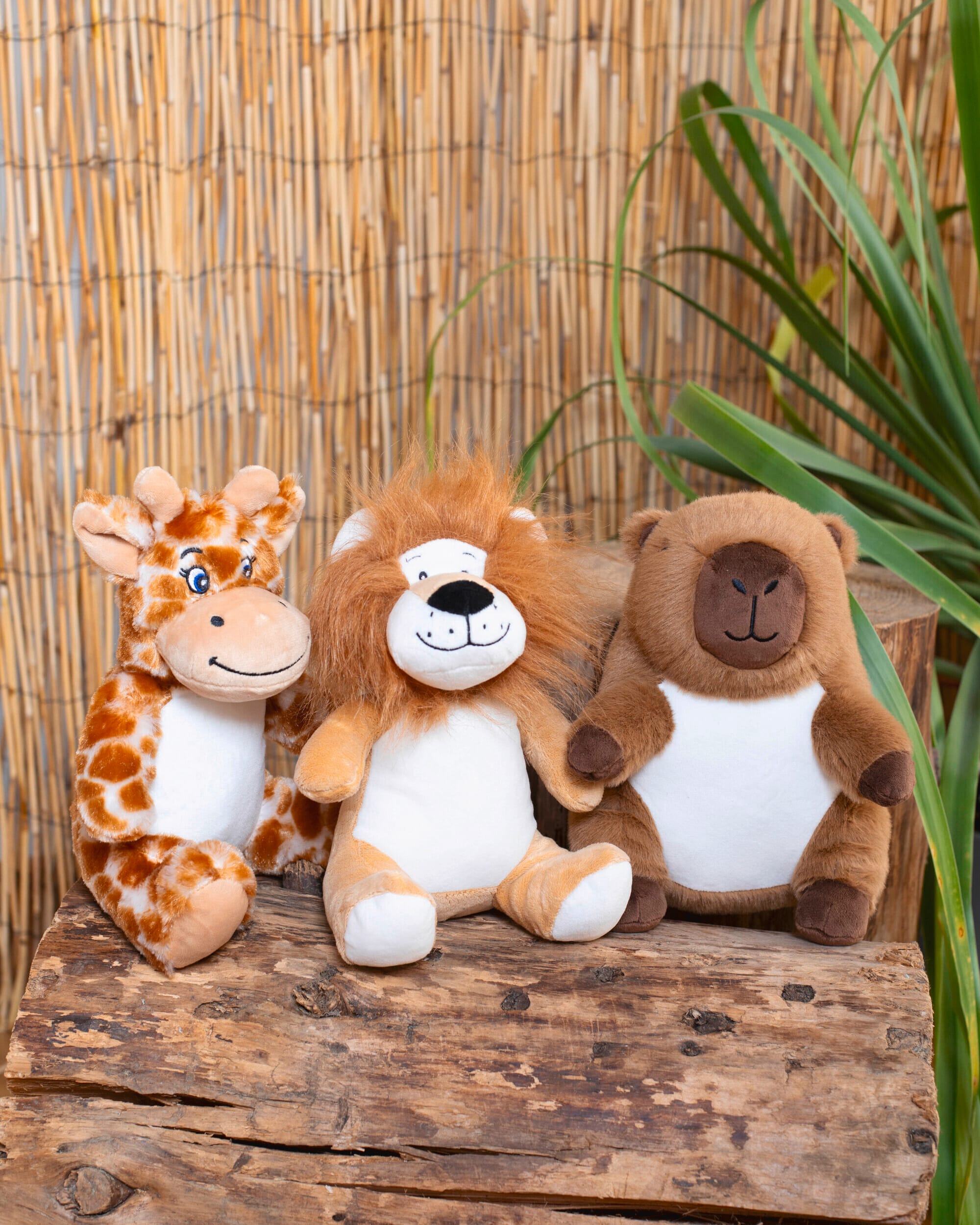 Peluche print me