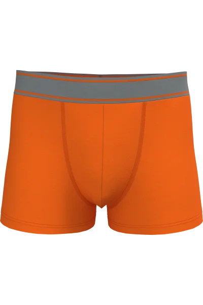 Boxer