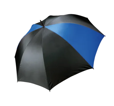 Parapluie tempête