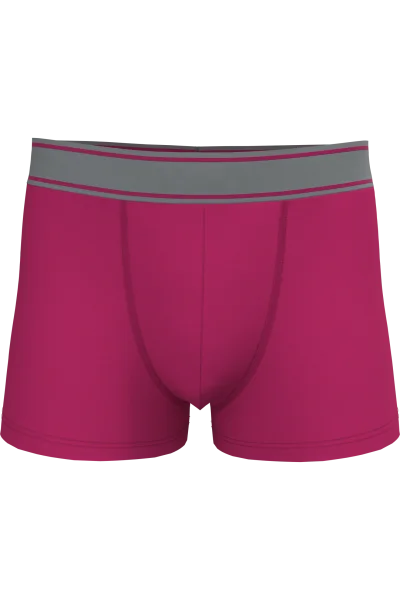 Boxer