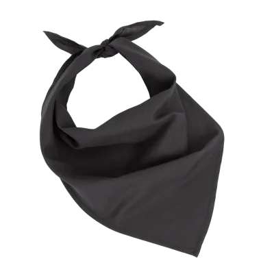 Fiesta - Bandana