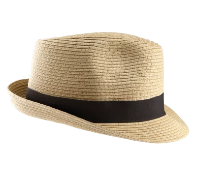 Chapeau Panama