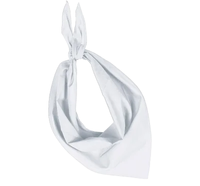 Fiesta - Bandana