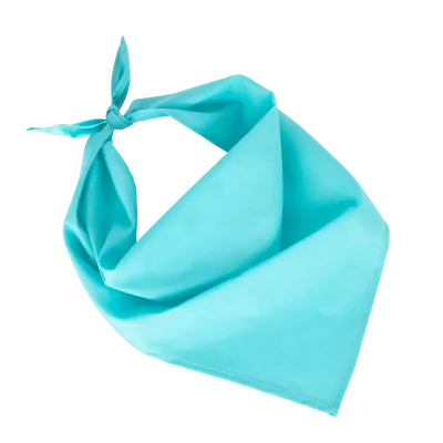 Fiesta - Bandana
