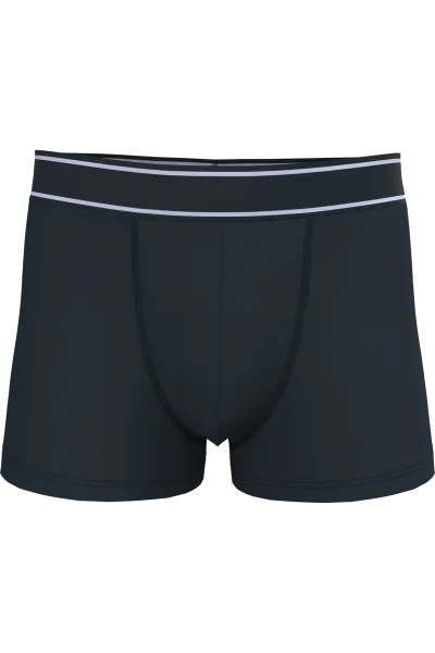 Boxer