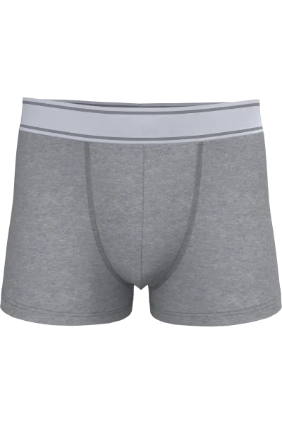 Boxer