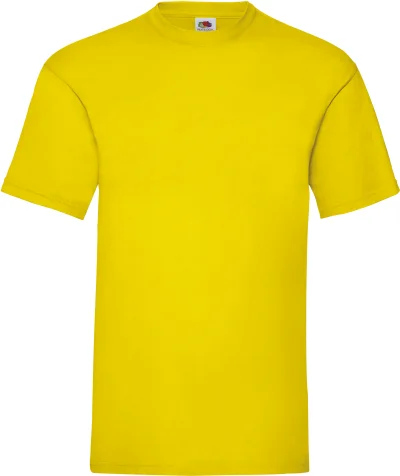 T-shirt homme Valueweight (61-036-0)