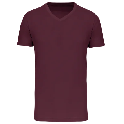 T-shirt Bio150 IC col V homme
