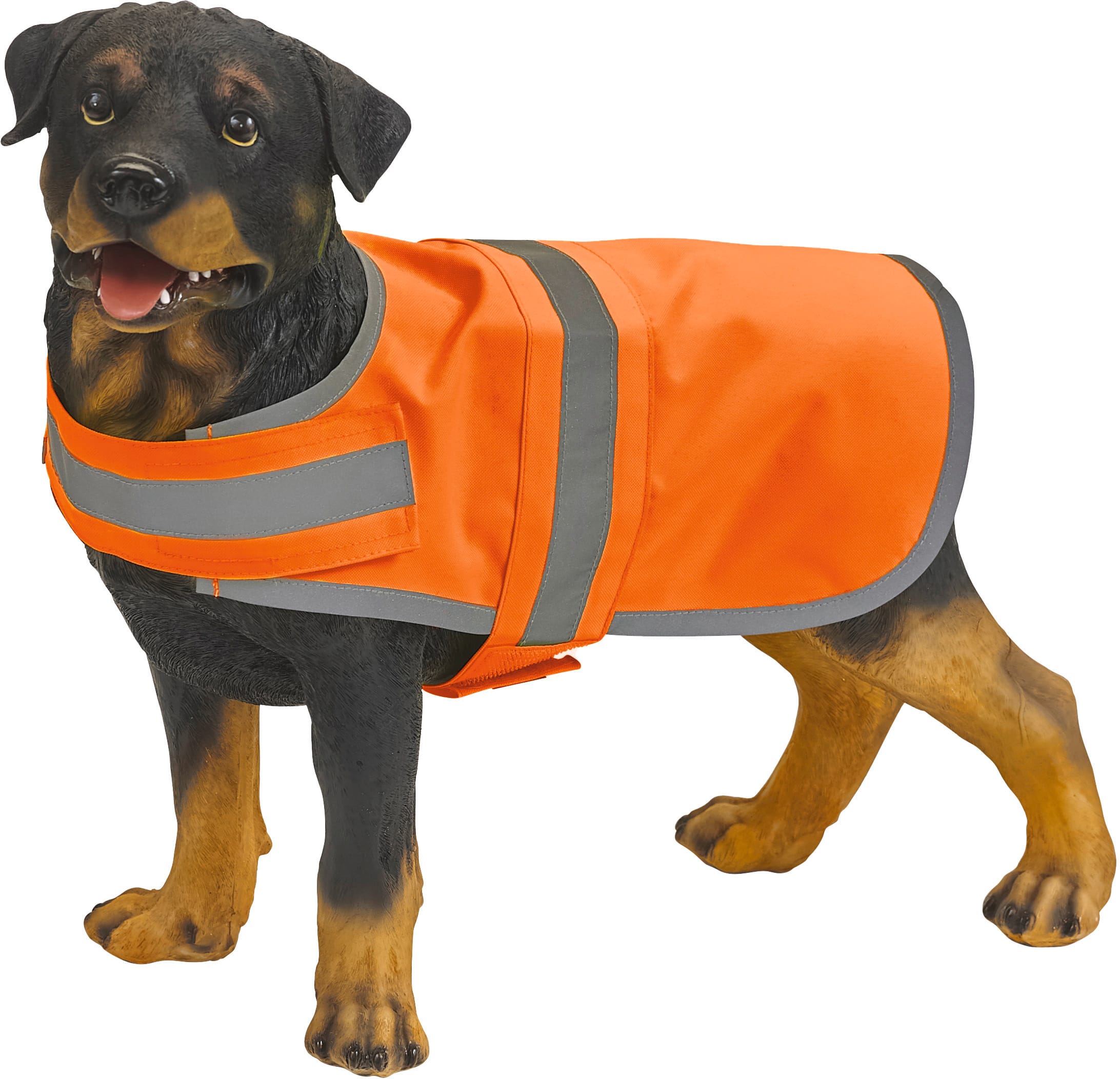 Gilet réfléchissant pour chien