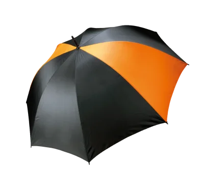 Parapluie tempête