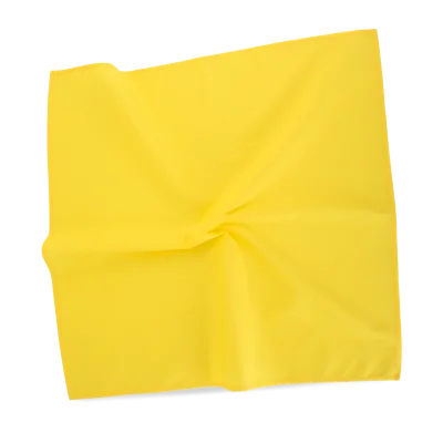 Bandana carré