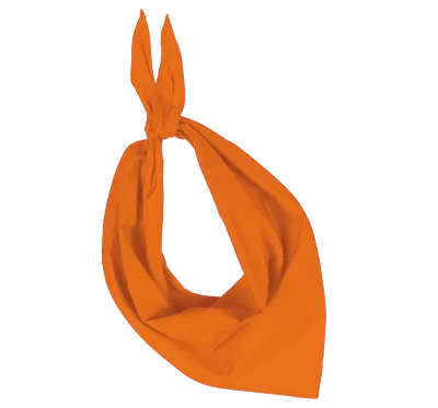 Fiesta - Bandana
