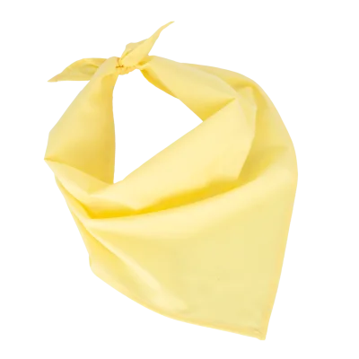 Fiesta - Bandana