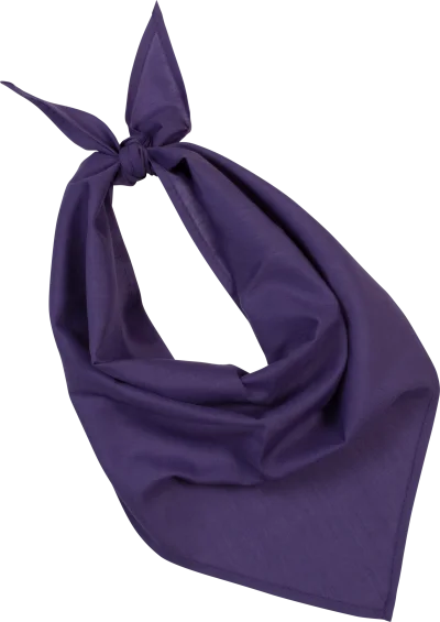 Fiesta - Bandana