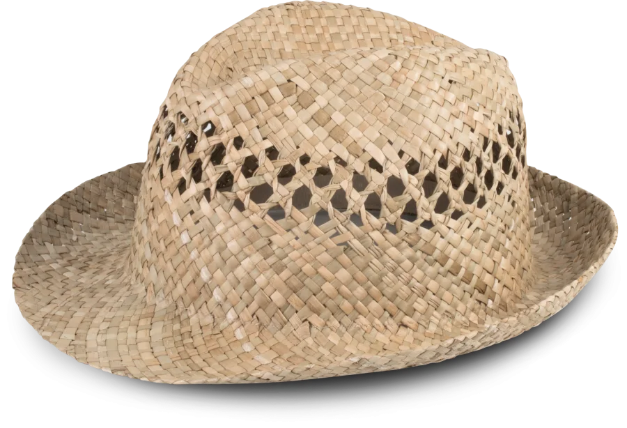 Chapeau Panama tressé