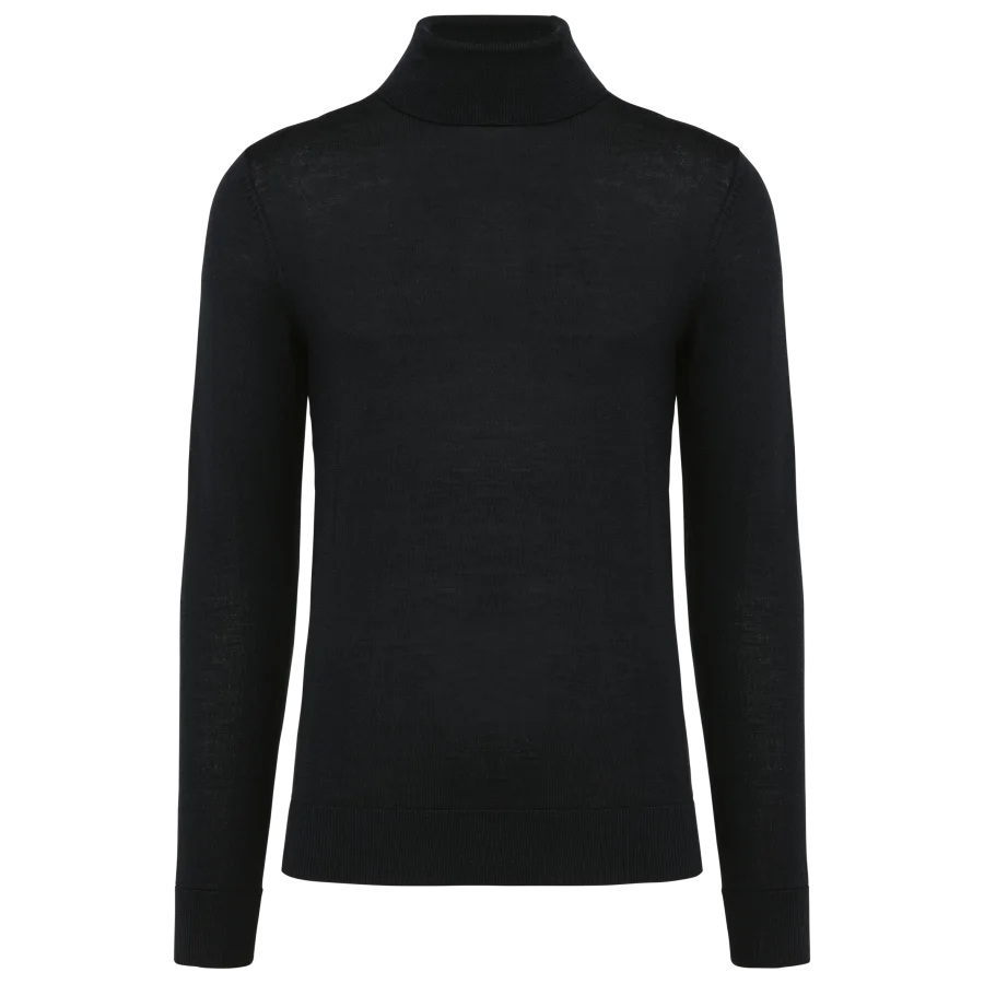 Pull Mérinos col roulé homme
