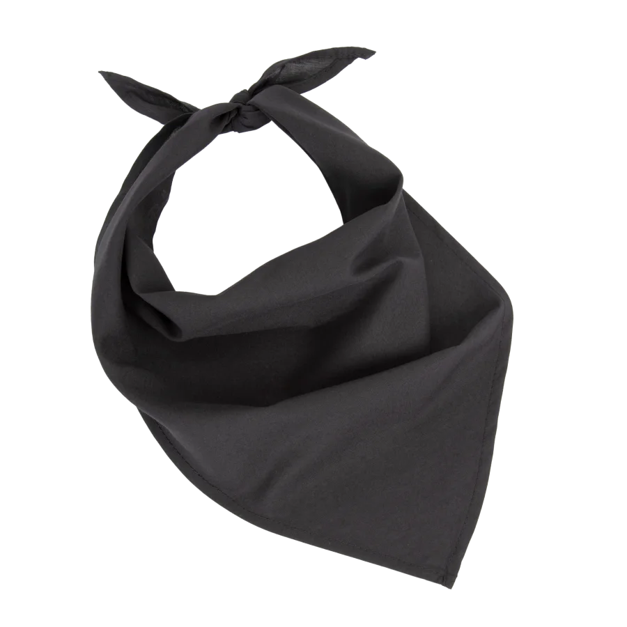 Fiesta - Bandana
