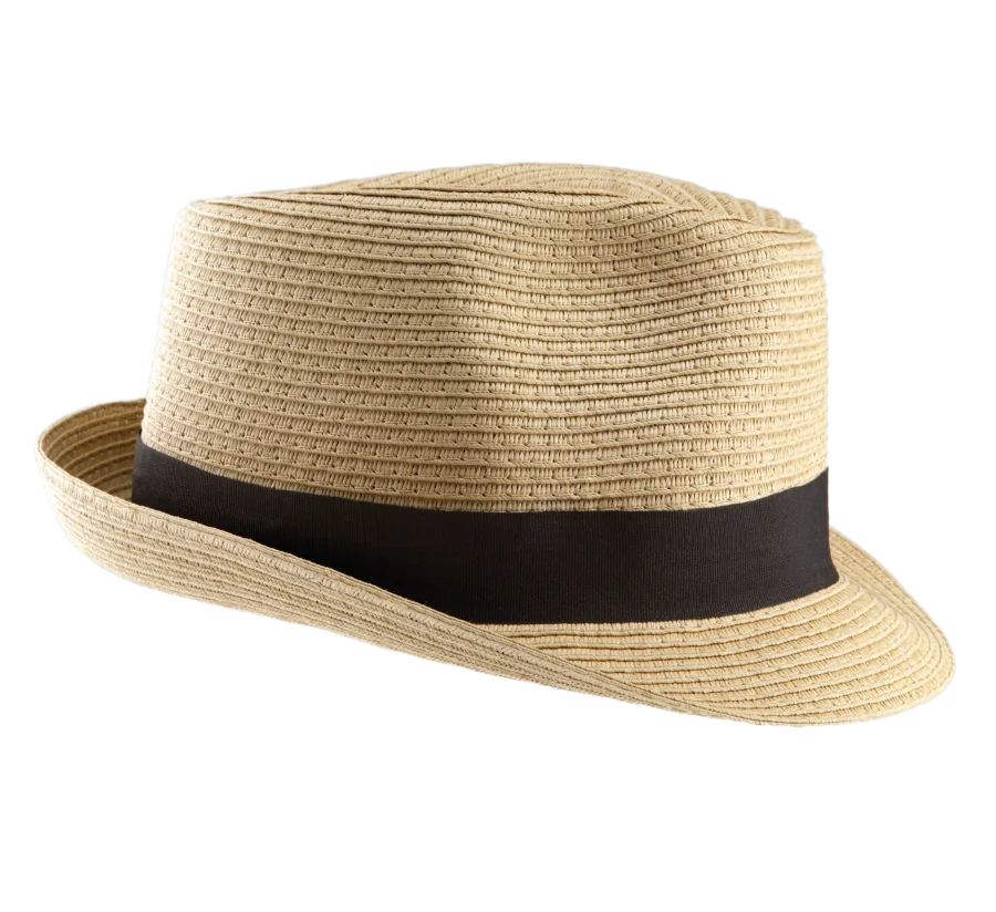 Chapeau Panama